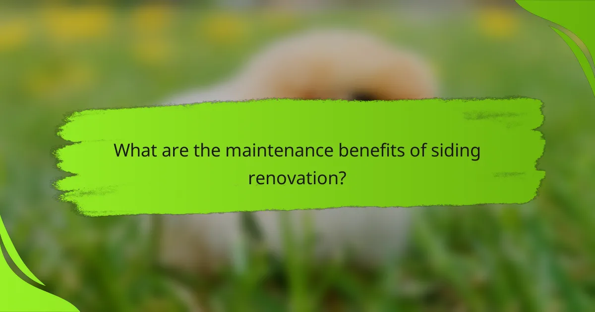 What are the maintenance benefits of siding renovation?